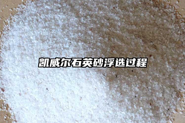 生产厂家草莓污视频下载砂浮选过程